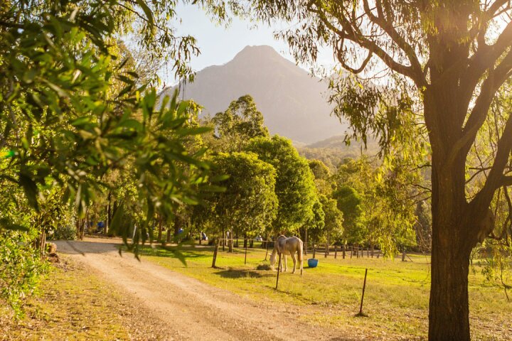 Mt Barney Lodge