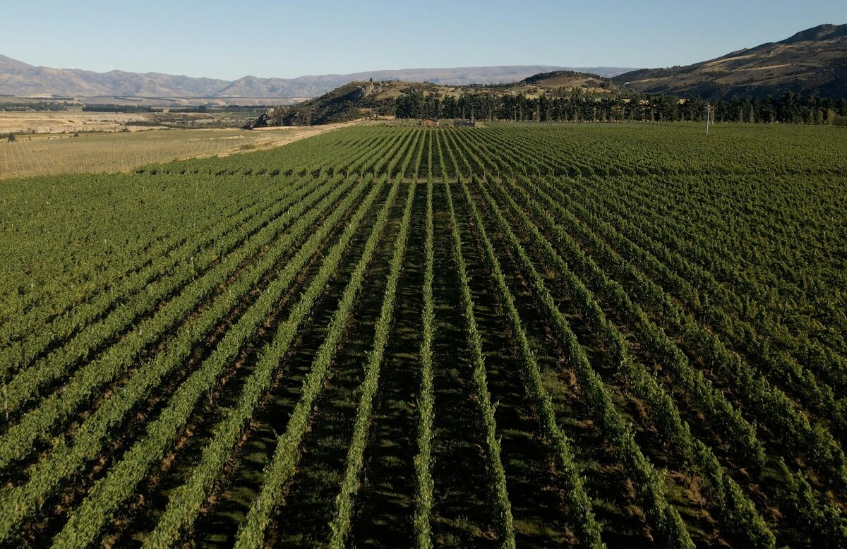 Nanny Goat Wine Makers Dinner | Beechmont Estate