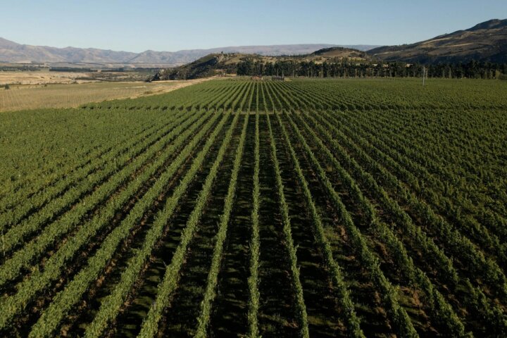 Nanny Goat Wine Makers Dinner | Beechmont Estate