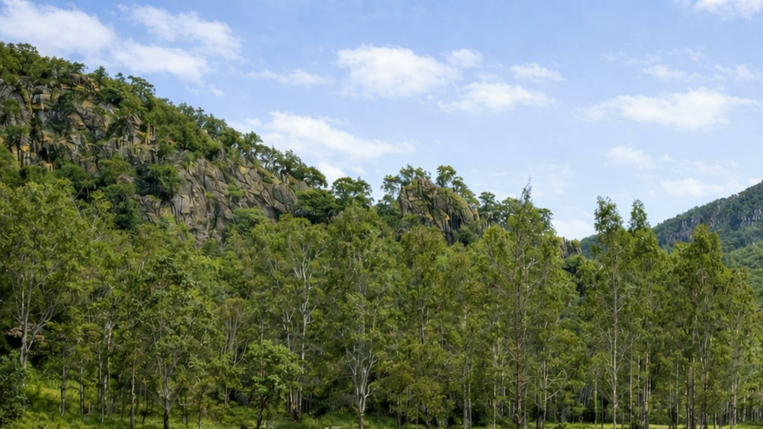 Barney View Bush Camping