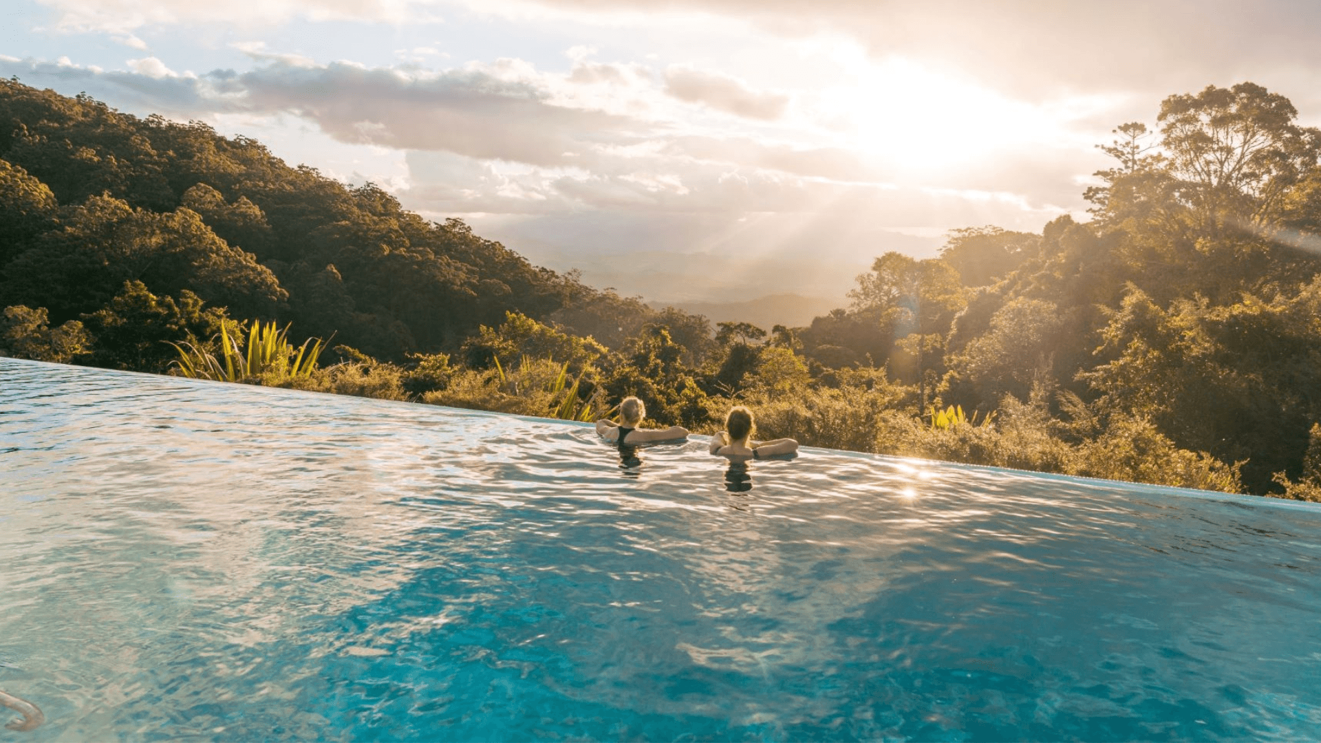 O’Reilly’s Rainforest Retreat infinity pool