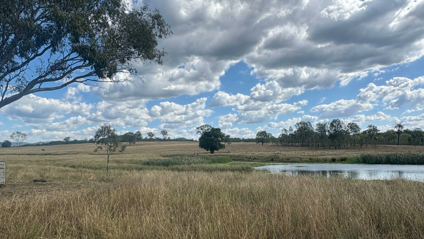 Baytina