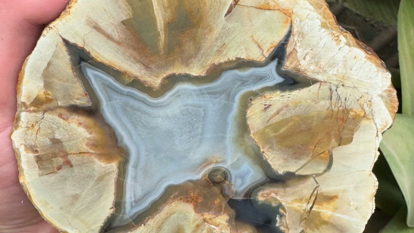 Thunderegg Filled with white Agate