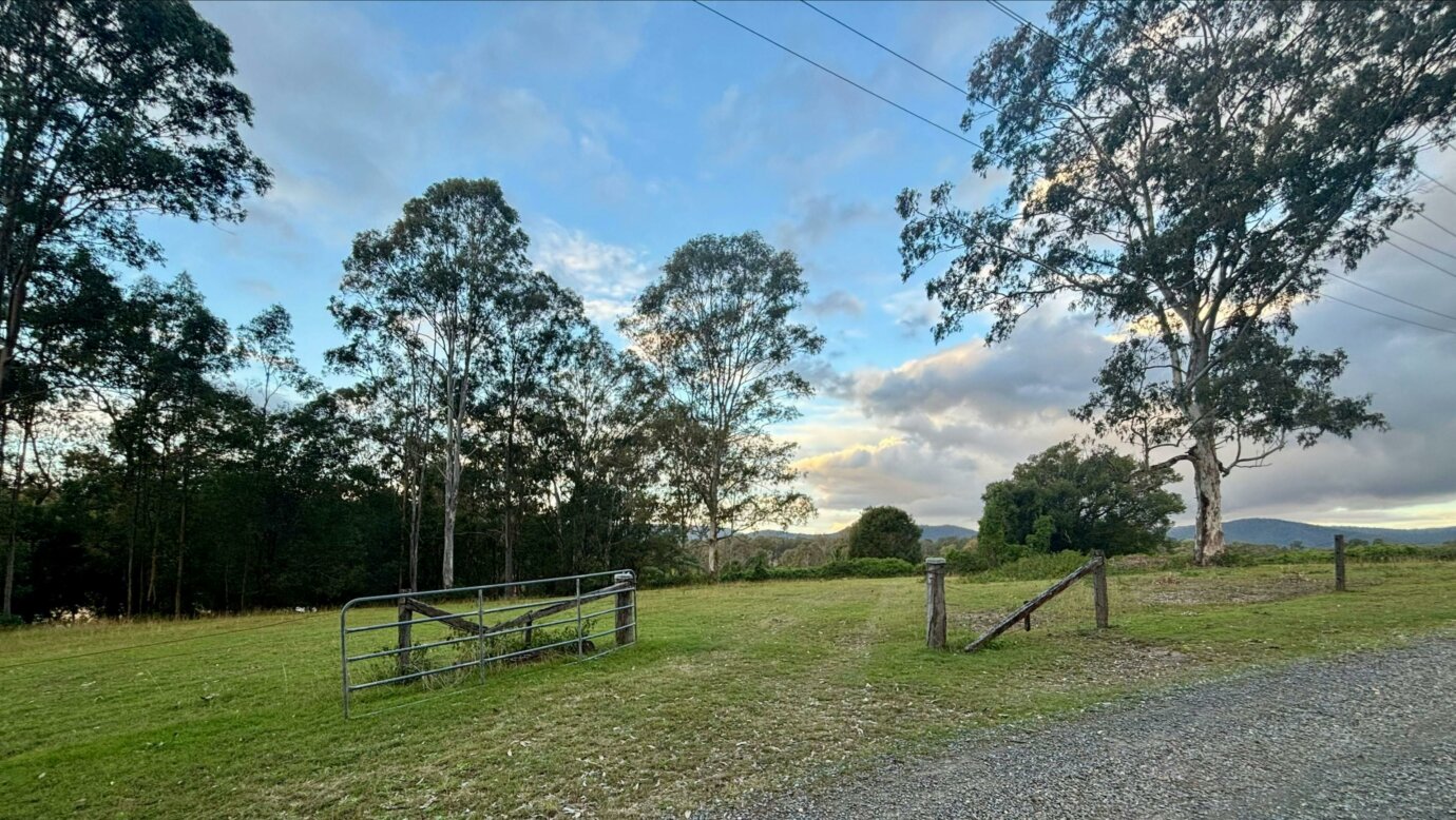The Paddock in Tamborine