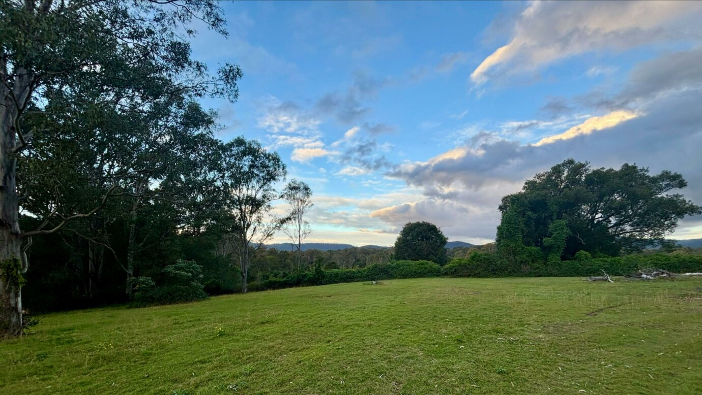 The Paddock in Tamborine