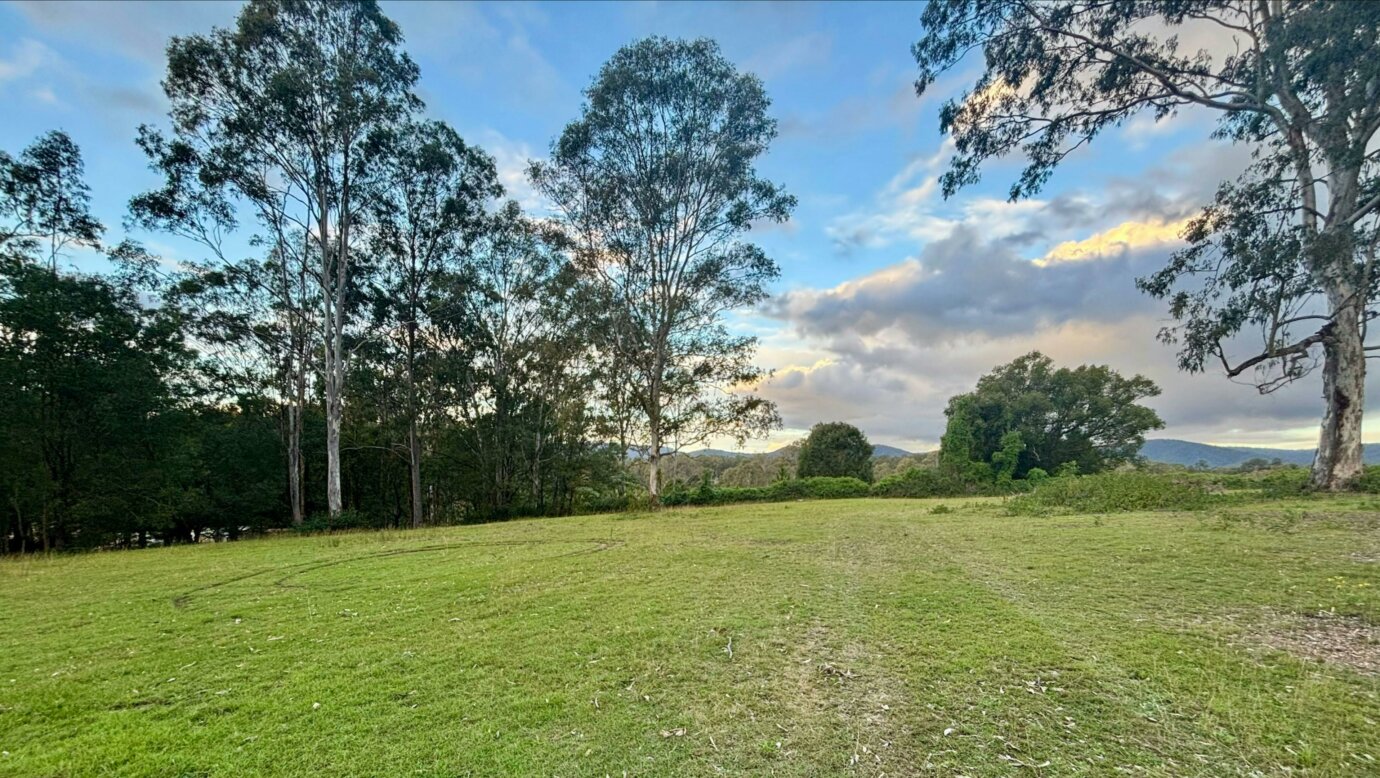 The Paddock in Tamborine