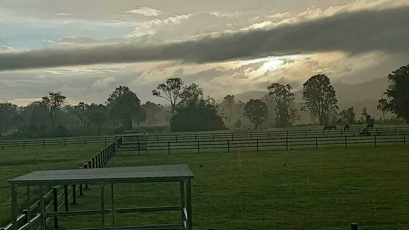 AI Equine Performance