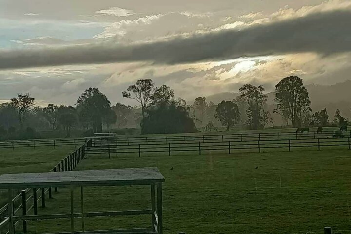 AI Equine Performance