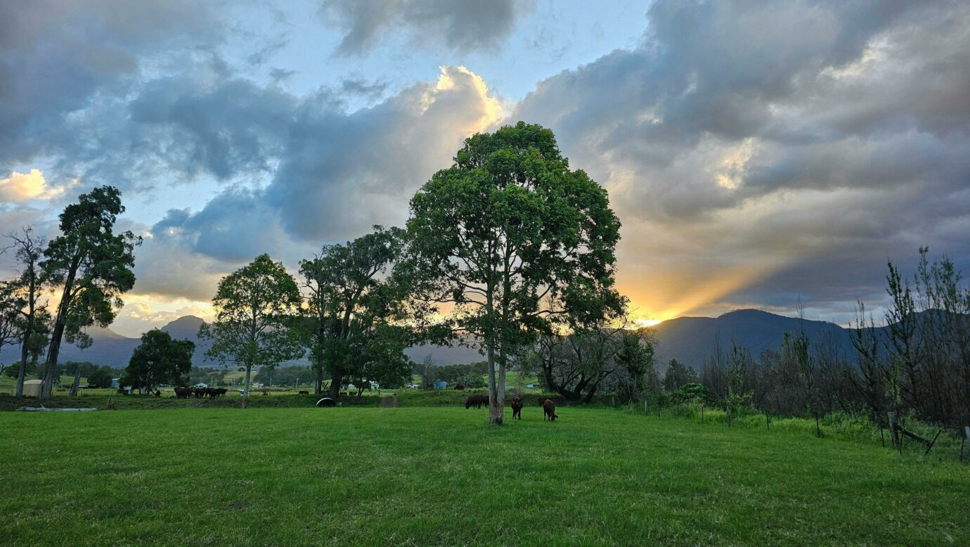 Warrill Creek Camping