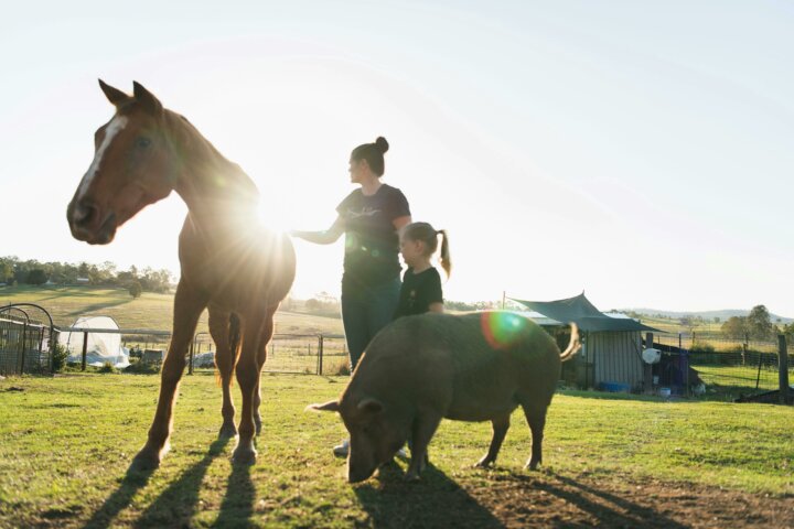 Farm tour for families