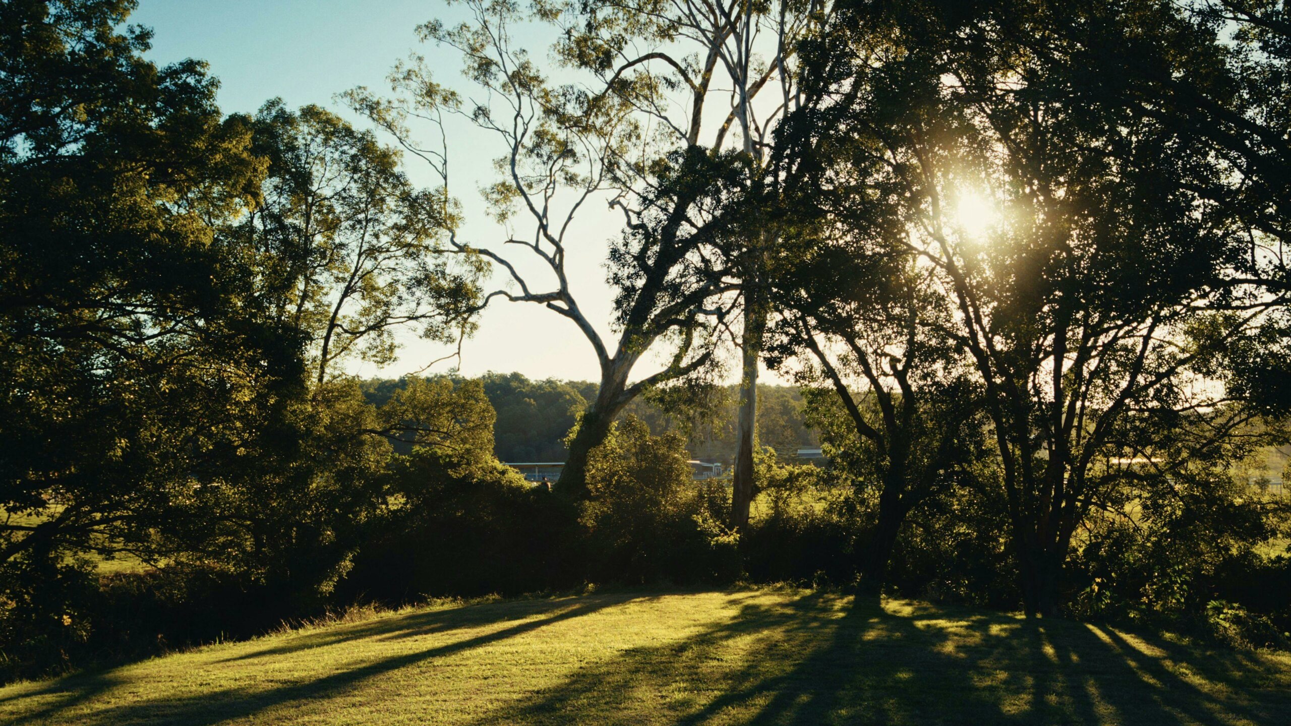 Bidda Bridge Country Stay