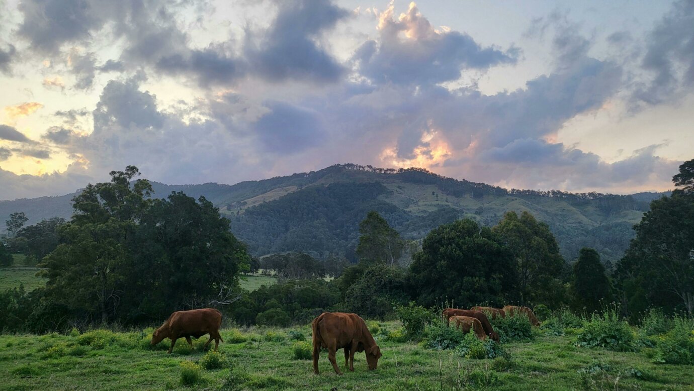 Tyungun Country Retreat