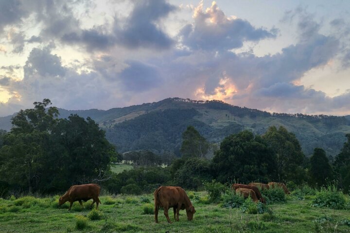 Tyungun Country Retreat