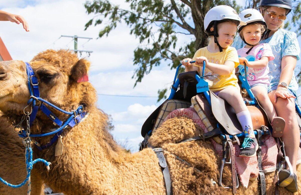 Spring  Markets - Summer Land Camels