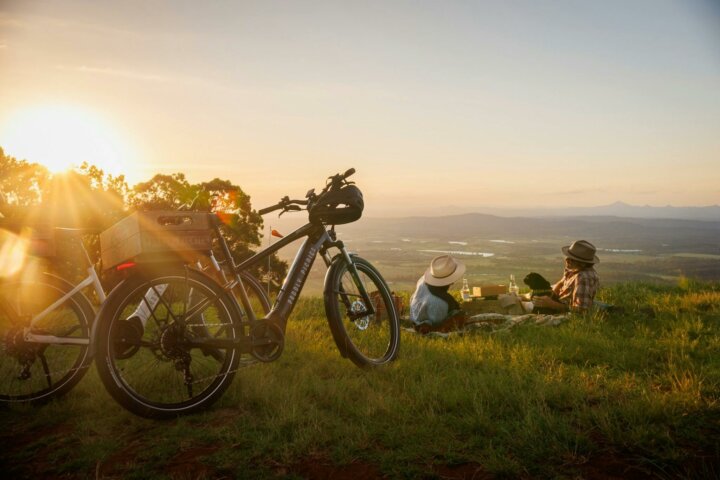 Peddly e-bike Picnic