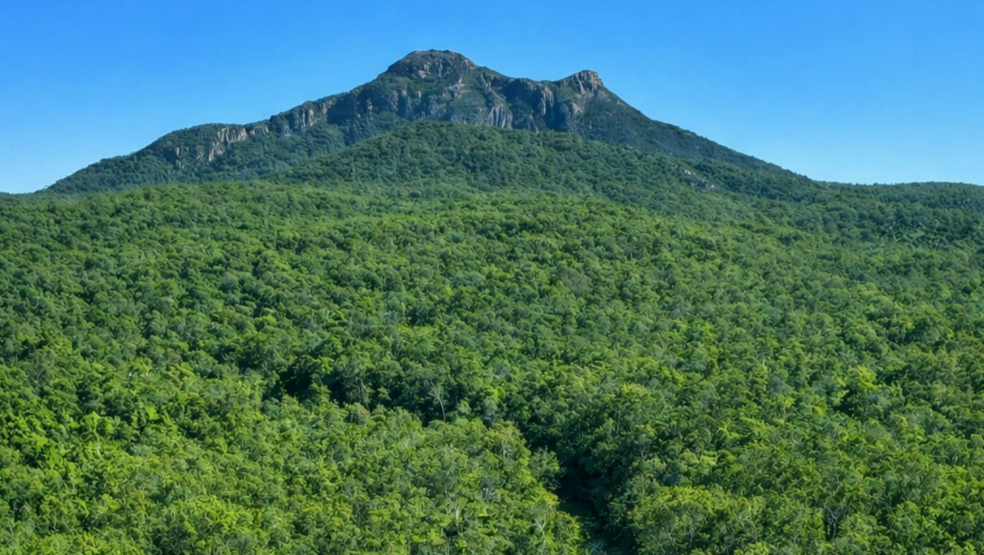 Barney View Bush Camping
