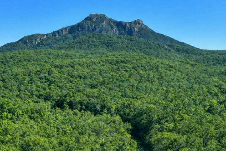 Barney View Bush Camping
