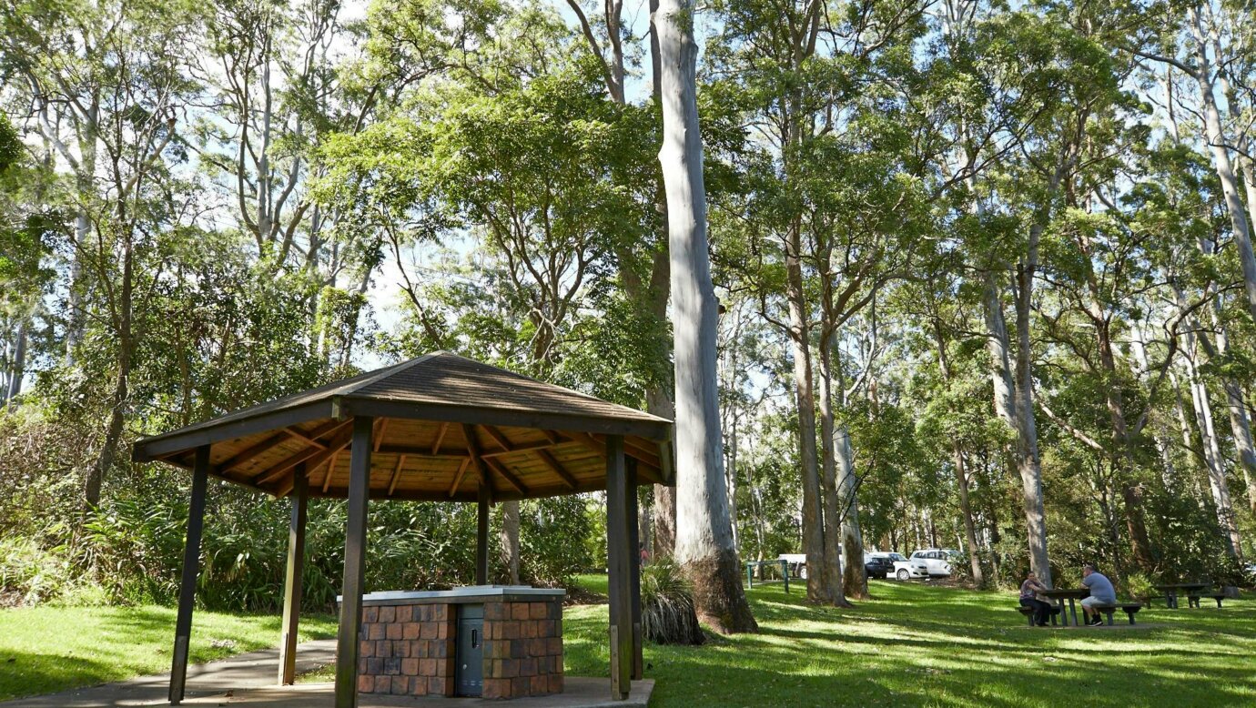 Picnic shelter in a forest picnic area beneath tall trees.