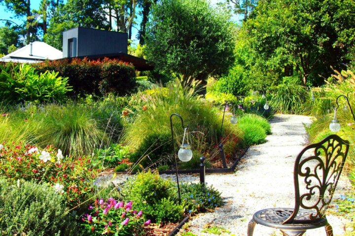 Springtime on the Mountain Garden Trail