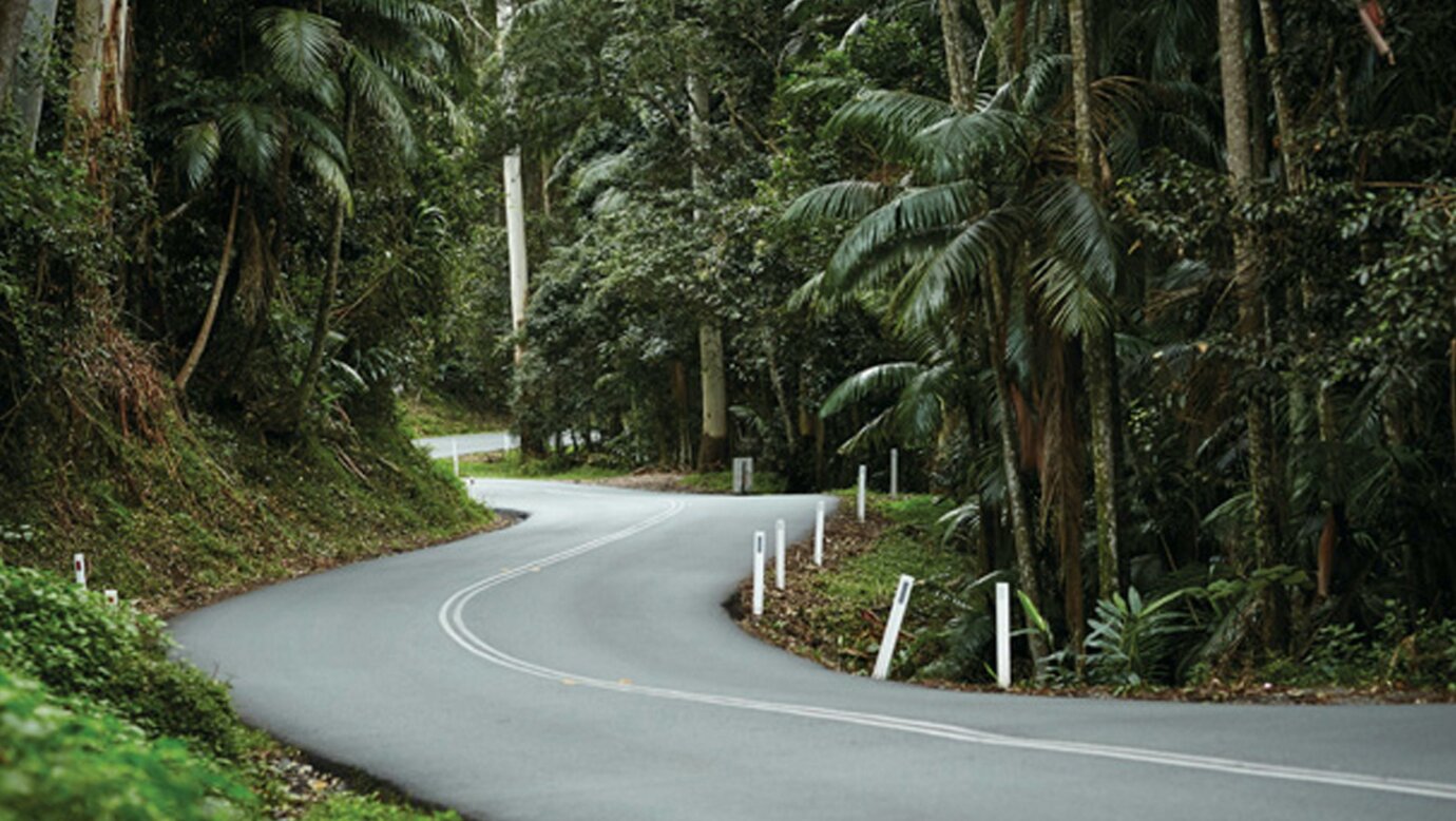 Tamborine Mountain National Park