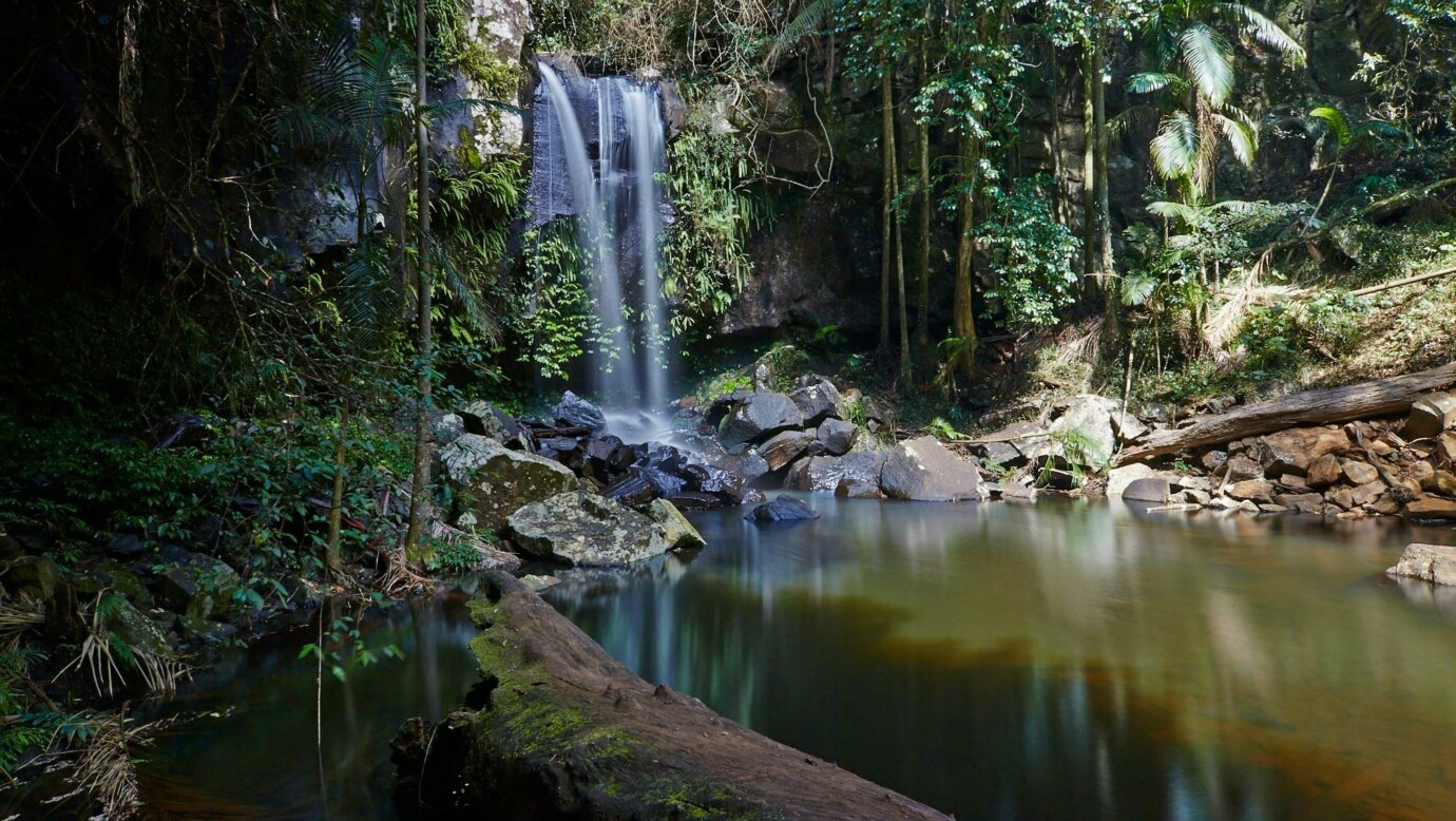 Waterfall cascading into a rainforest pool.