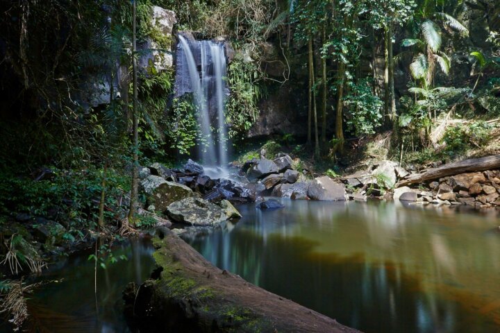 Waterfall cascading into a rainforest pool.