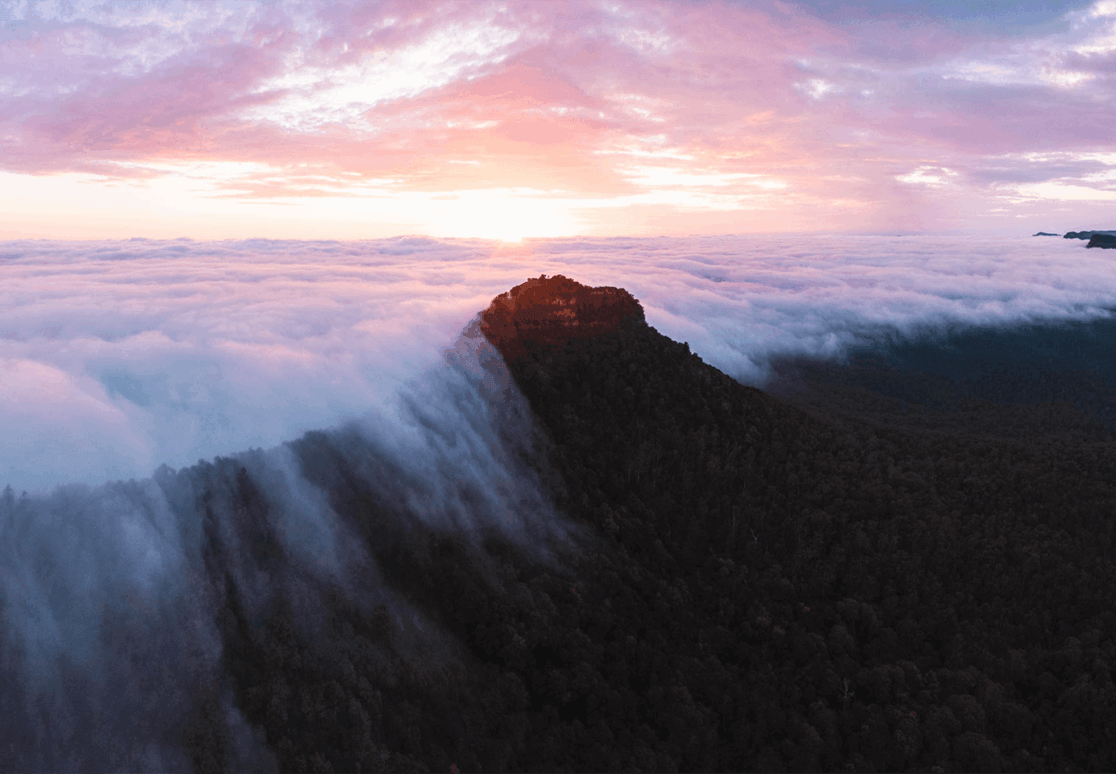 Mist over the Scenic Rim
