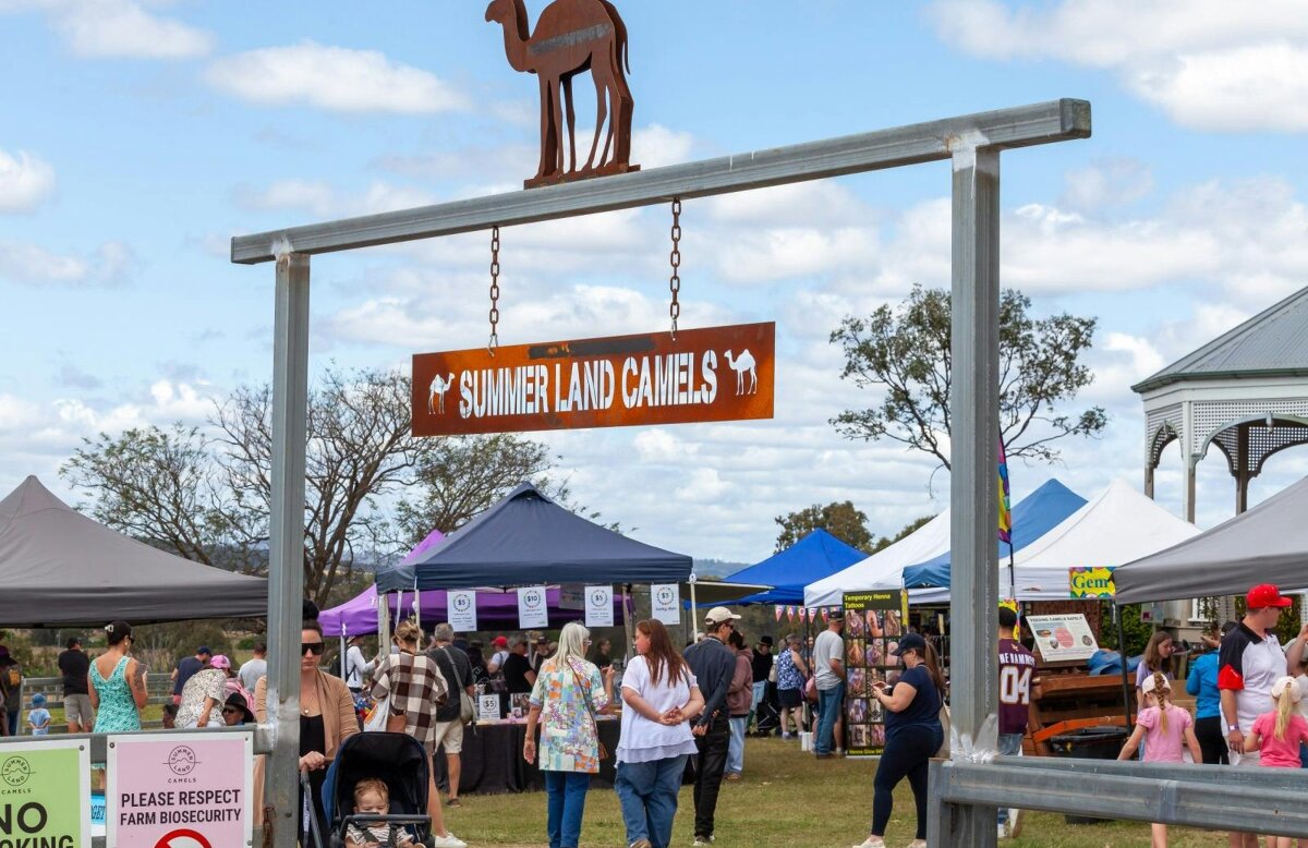 Christmas Markets - Summer Land Camels
